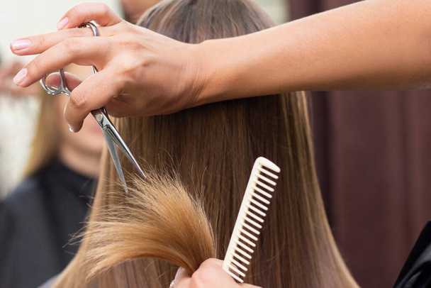 Womens hairdresser, beauty salon. Professional stylist cuts female hair in salon - Fotografie, Obrázek