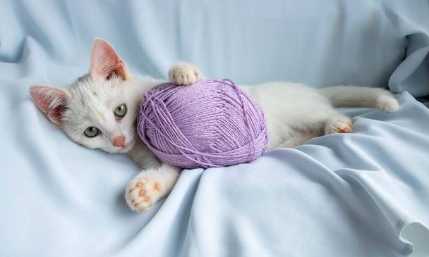 Kitten playing lying down, biting a ball of thread. - Photo, Image