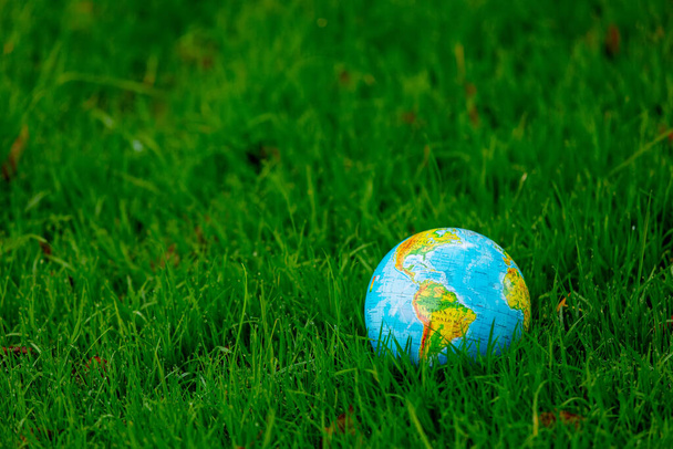 Earth globe on green grass with autumn leaves  - Foto, Bild