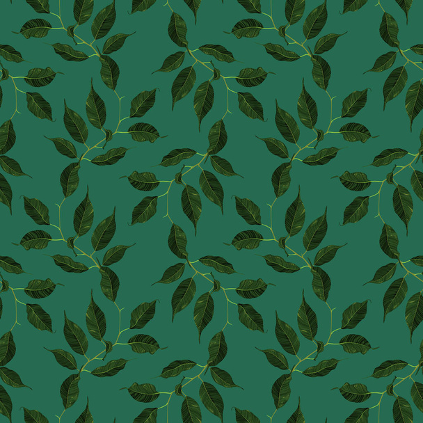 Green ficus rubber plant branch leaf seamless pattern texture background vector art - Вектор,изображение