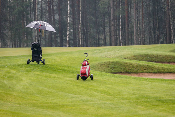 Playing golf. Golf course - Foto, Imagen