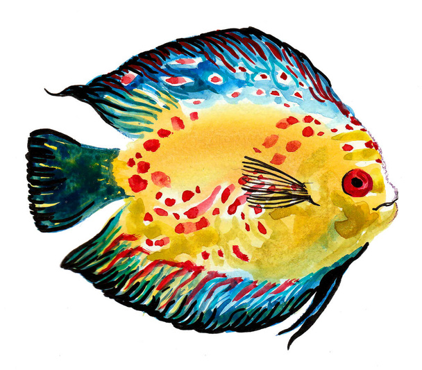 Colorful tropical coral fish. Watercolor painting - Zdjęcie, obraz