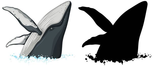 Bultrug walvis karakters en zijn silhouet op witte achtergrond illustratie - Vector, afbeelding