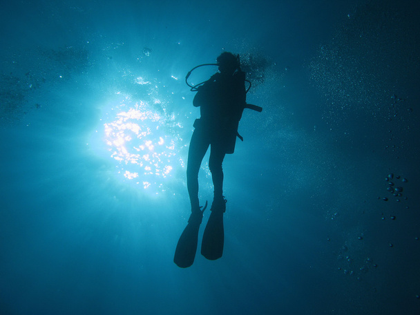 mergulhador
 - Foto, Imagem