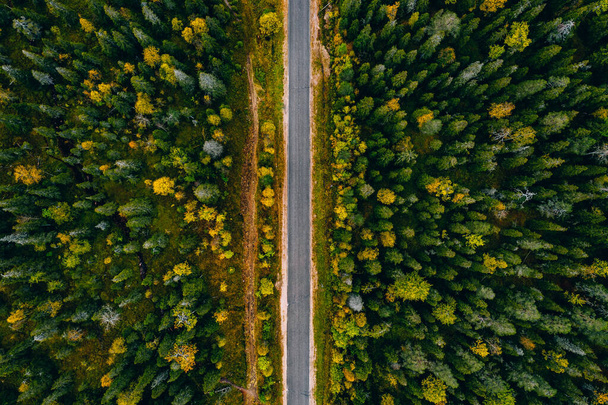Widok z lotu ptaka na drogę wiejską i kolorowy jesienny las w Finlandii Laponia. - Zdjęcie, obraz