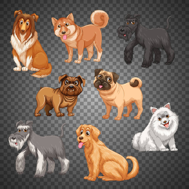 Set of different dogs isolated illustration - Vector, Image