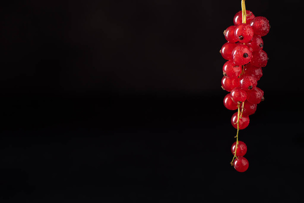 a bunch of ripe red currants on a black background - Fotoğraf, Görsel