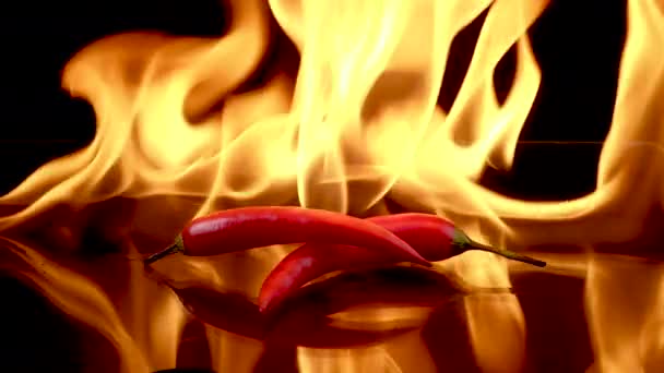 Kuuma punainen chili paprikat liekeissä polttaa - Materiaali, video