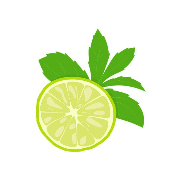 lime and mint flat set. concept of a sweet colorful food, fruit, cool drinks, lemonade or mojito, decoration for packaging, paper, sticker, label for kitchen and cooking. simple juicy signs on white - Vector, Image