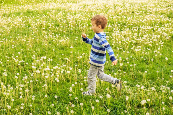 kid happy child fun nature. beautiful. - Foto, afbeelding