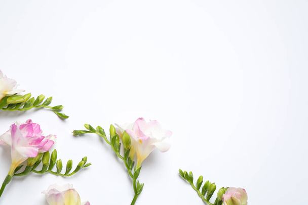 Beautiful blooming pink freesias on white background, flat lay. Space for text - Foto, Bild