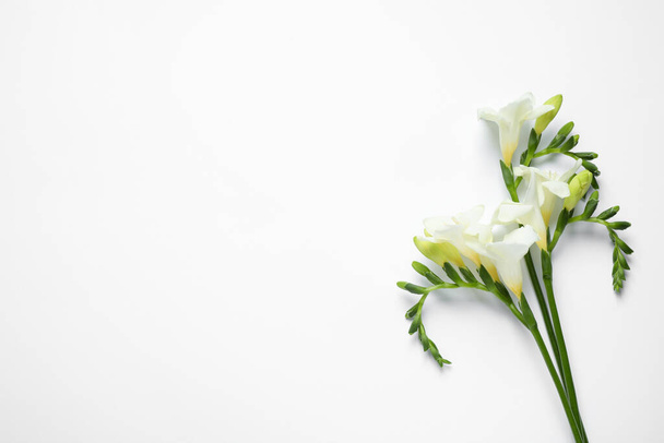 Beautiful freesia flowers on white background, top view - Foto, Imagem