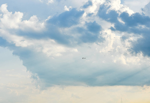 błękitne niebo z rozproszonymi chmurami cumulus, lato błękitne niebo miękkie jasne - Zdjęcie, obraz