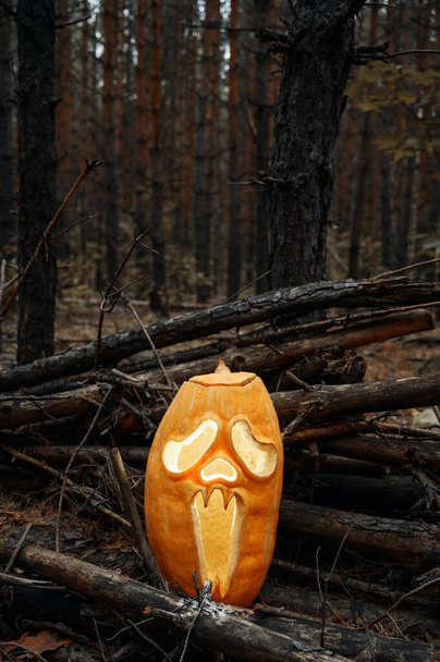 Abóbora brilhante assustadora Jack O Lanterna na floresta de outono ao entardecer. Fundo de férias de Halloween. - Foto, Imagem
