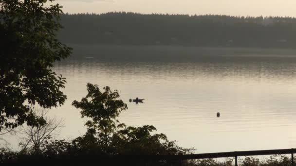 άτομο που κάθεται σε βάρκα και ψαρεύει το ηλιοβασίλεμα - Πλάνα, βίντεο