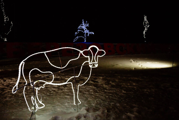 A tehén alakja fehér fényű koszorúból készült. Az új 2021-es szimbóluma a keleti naptár szerint. Szabadtéri dekoratív világítás szilveszterkor, vagy díszíteni a gazdaság. - Fotó, kép