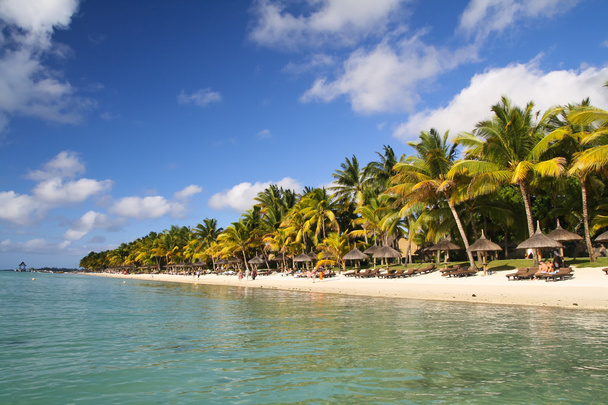 Tropická pláž s palmami - Fotografie, Obrázek