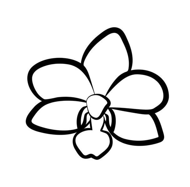 Εικονογράφηση διάνυσμα, απομονωμένη ορχιδέα λουλούδι σε μαύρο και άσπρο χρώμα - Διάνυσμα, εικόνα
