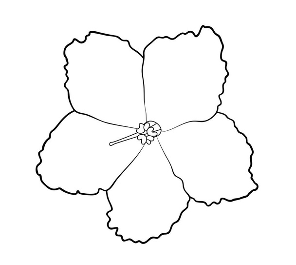 Ilustracja wektora, pojedynczy kwiat fioletowy w czarno-białych kolorach, szkic ręcznie malowany rysunek - Wektor, obraz