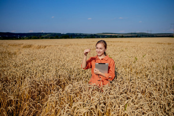 Farmer researching plant in wheat field. In his hand he holds a glass tube containing test substance with digital tablet. Smart farming using modern technologies in agriculture and scientist concept - Photo, Image
