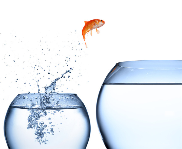 Goldfish saltando del agua - concepto de mejora
 - Foto, Imagen