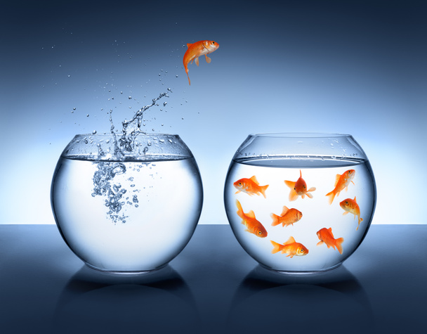 Goldfish pulando para fora da água - conceito de aliança
 - Foto, Imagem