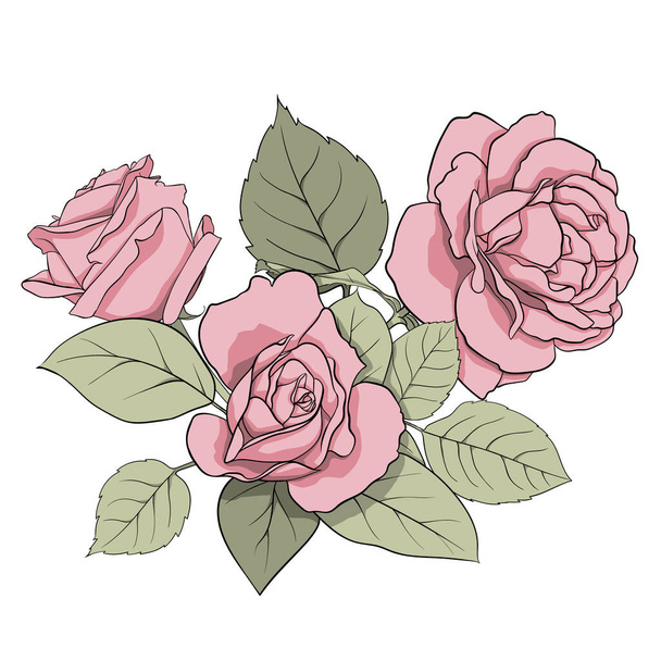 omposition of delicate pink roses and green leaves. Illustration for creating cards, decoration, decoration, prints, wedding invitations, etc. - Foto, Bild