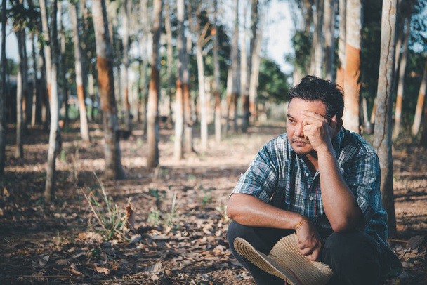 Ázsiai férfi mezőgazdasági termelő boldogtalan az alacsony hozamú termelékenység gumifa ültetvény gumifa sorban természetes latex a mezőgazdaság betakarítás természetes gumi az ipar Thaiföldön - Fotó, kép