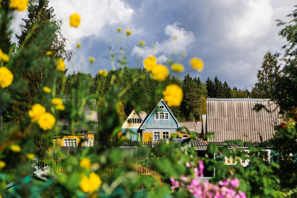 A typical russian summer village in the greenery of trees and flowers on a warm sunny day - Фото, изображение