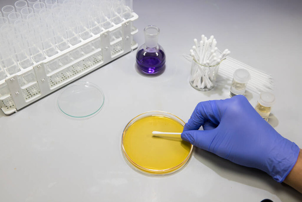 Laboratuvarda mikrobiyolog bir tabakta bakteri örneklerini inceliyor. Biyoloji laboratuvarında çalışan bir bilim adamı. - Fotoğraf, Görsel