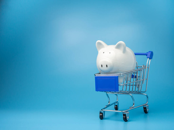 Piggy banka na nákupním vozíku na modrém pozadí. Nákupní koncept. - Fotografie, Obrázek