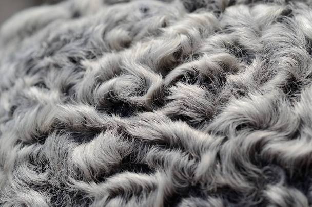 Hat elements from astrakhan fur closeup. Shallow depth of field - Zdjęcie, obraz