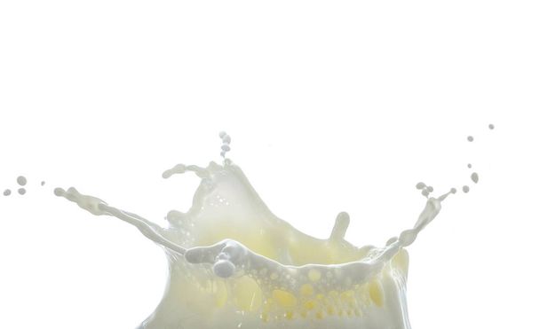 milk drop and splashes isolated on white background - Photo, Image