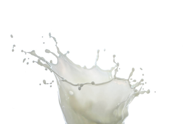 Milchtropfen und Spritzer isoliert auf weißem Hintergrund - Foto, Bild