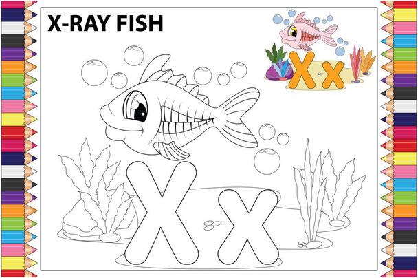 röntgenstralen kleuren voor kinderen, eenvoudige vectorillustratie - Vector, afbeelding