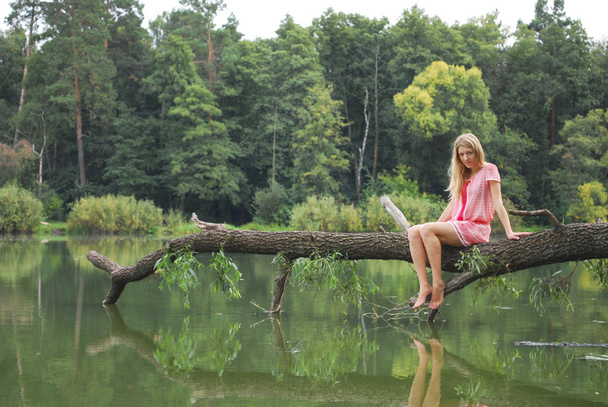 Girl sitting on the shore of the lake on the tree. - Photo, Image
