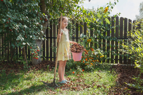 Elbiseli küçük bir kız elinde tırmıkla bahçede duruyor ve elinde kuru yapraklarla bir kova tutuyor. - Fotoğraf, Görsel