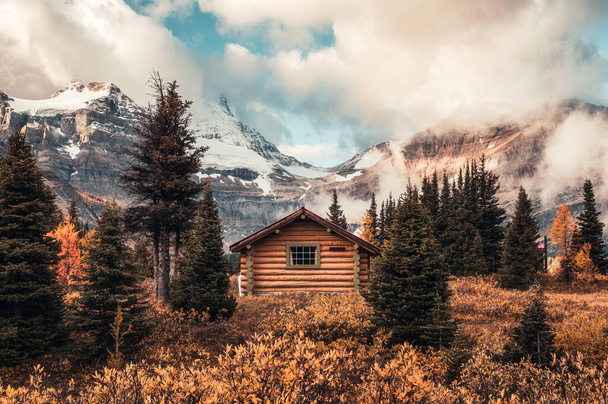 Dřevěná chata s pohořím Assiniboine v podzimním lese v provinčním parku, Kanada - Fotografie, Obrázek