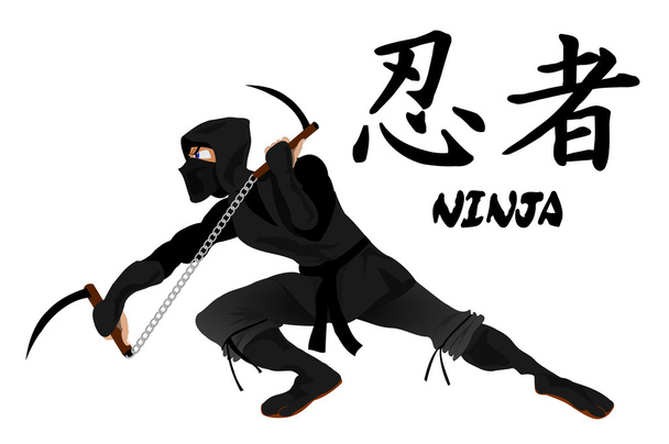 Ninja-Angriff mit Kamas. - Vektor, Bild