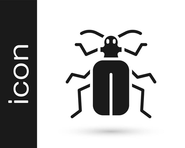 Schwarzes Käfer-Symbol isoliert auf weißem Hintergrund. Vektor. - Vektor, Bild