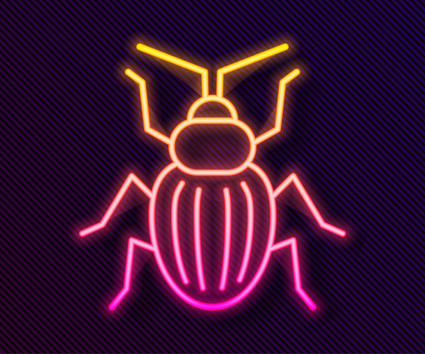 Icono de escarabajo chaflán de línea de neón brillante aislado sobre fondo negro. Vector. - Vector, imagen