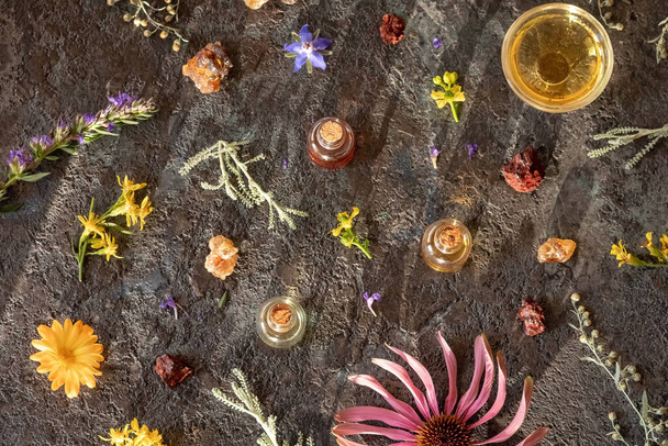Auswahl an ätherischen Ölen mit Weihrauch, Sangre de Drago, Wermut, Echinacea und anderen Kräutern, Ansicht von oben - Foto, Bild