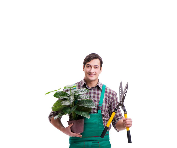 O jardineiro de homem jovem isolado em branco - Foto, Imagem