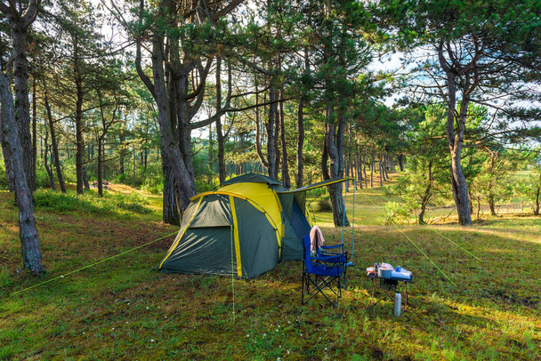 kemping sátor egy fenyőerdőben a tenger mellett - Fotó, kép
