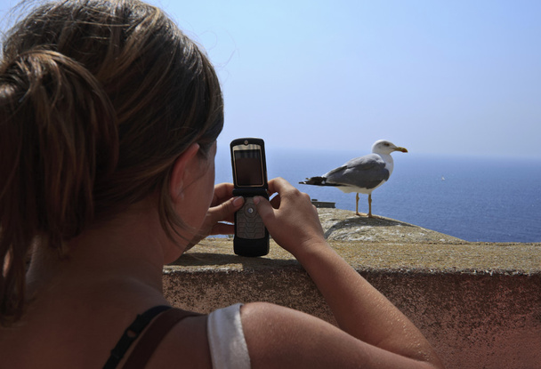 Франция, Корсика, Бобифачо, девушка фотографирует чайку
 - Фото, изображение