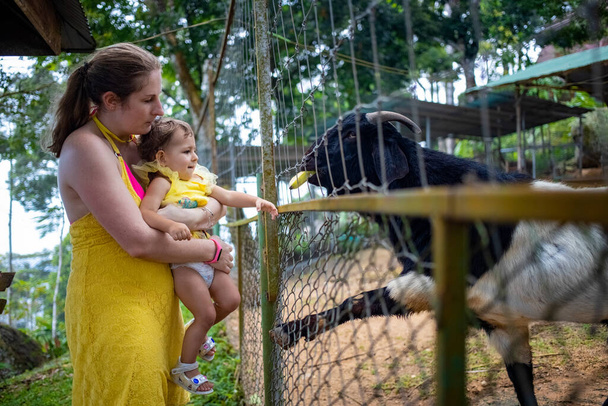 Imádnivaló, aranyos kislány, anyával, aki kecskét etet egy gyerekfarmon. Gyönyörű kisbaba simogatja az állatokat az állatkertben. Izgatott és boldog lány a családi hétvégén - Fotó, kép