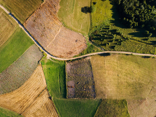 Вид сверху сверху на проселочную дорогу в горных сельскохозяйственных полях между зелеными травяными культурами и деревьями вокруг - концепция путешествий дрона фото Kopaonik Сербии осенью или летом - Фото, изображение