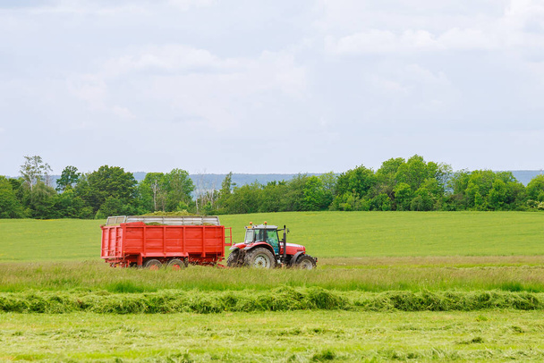 収穫者は輸送のためのトラクタートレーラーで新鮮な切口の草を収集します。ヘイキング. - 写真・画像