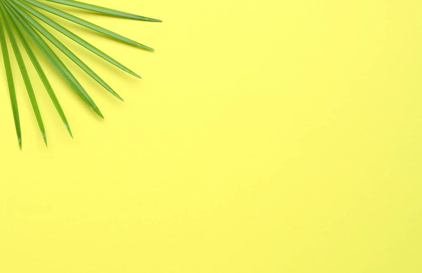 Tropical palm leaves on  yellow background. Copy space. Top view. - Foto, imagen