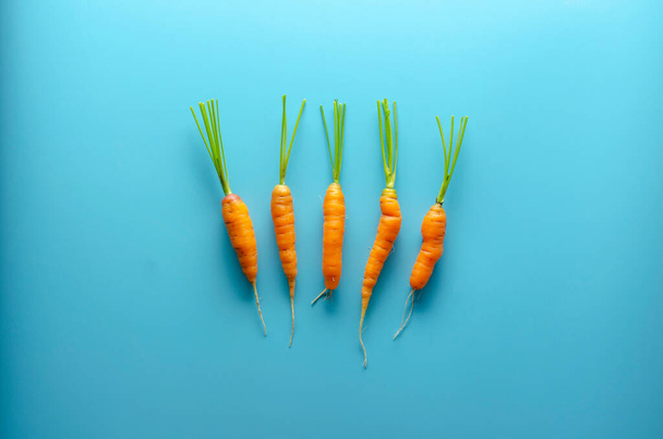 carottes isolées sur un fond. Journée mondiale végétarienne. - Photo, image